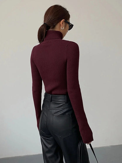 Women's ribbed turtleneck lightweight knit sweater